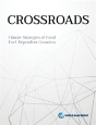 Crossroads - Preview