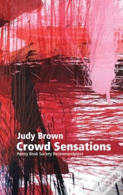 Capa do artigo Crowd Sensations