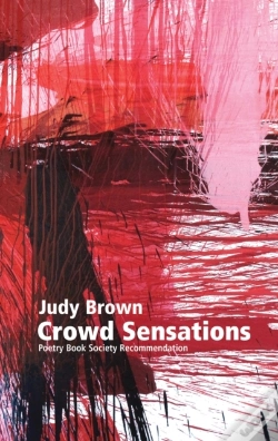 Capa do artigo Crowd Sensations