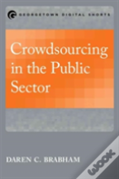 Crowdsourcing In The Public Sector
