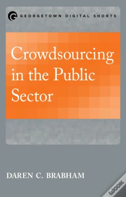 Capa do artigo Crowdsourcing In The Public Sector
