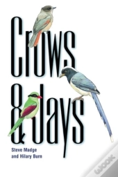 Crows And Jays