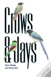 Capa do artigo Crows And Jays