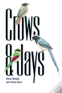 Capa do artigo Crows And Jays