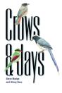 Crows And Jays - Preview