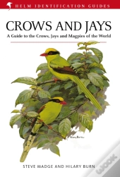 Crows And Jays