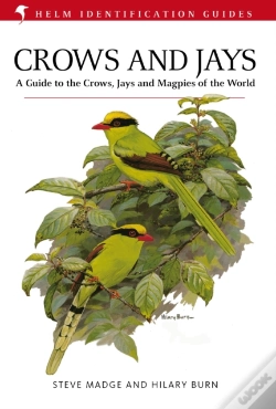 Capa do artigo Crows And Jays