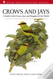 Capa do artigo Crows And Jays