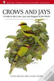 Capa do artigo Crows And Jays