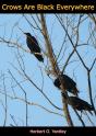 Crows Are Black Everywhere - Preview