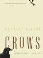 Crows - Preview