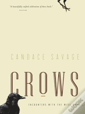 Capa do artigo Crows