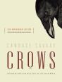 Crows - Preview