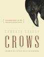 Crows - Preview