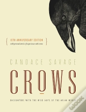 Capa do artigo Crows