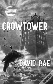 Capa do artigo Crowtower