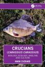 Crucians (Carassius Carassius) - Preview