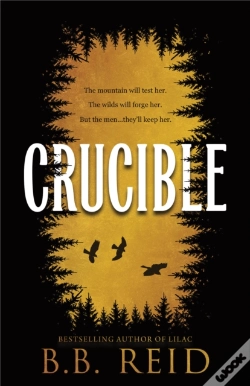 Capa do artigo Crucible