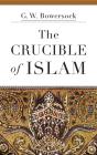 Crucible Of Islam - Preview