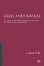 Cruel And Unusual - Preview