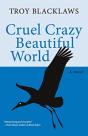 Cruel Crazy Beautiful World - Preview