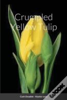 Crumpled Yellow Tulip