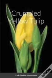 Crumpled Yellow Tulip