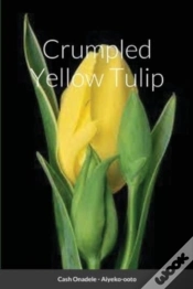Capa do artigo Crumpled Yellow Tulip