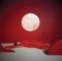 Crush Crusher - CD - Preview