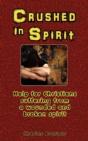 Crushed In Spirit - Preview