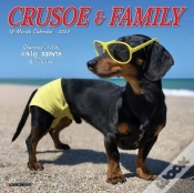 Capa do artigo Crusoe & Friends 2027 Mini