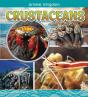 Crustaceans - Preview