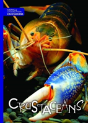 Crustaceans - Preview