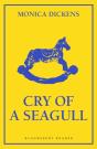 Cry Of A Seagull - Preview