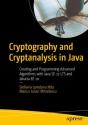 Cryptography And Cryptanalysis In Java - Preview