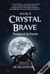 Capa do artigo Crystal Brave