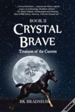 Capa do artigo Crystal Brave