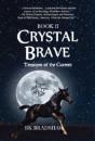 Crystal Brave - Preview