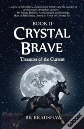 Capa do artigo Crystal Brave