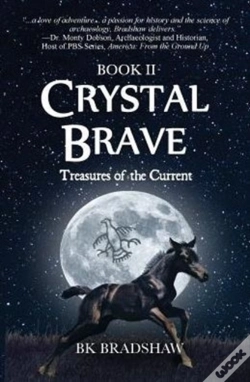 Capa do artigo Crystal Brave