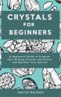Crystal For Beginners - Preview