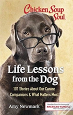Capa do artigo Css Life Lessons Dog