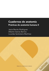Capa do artigo Cuadernos De Anatomia. Practicas De Anatomia Humana Ii