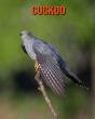 Cuckoo - Preview