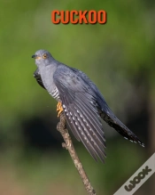 Capa do artigo Cuckoo