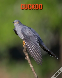 Capa do artigo Cuckoo
