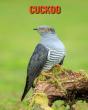 Cuckoo - Preview