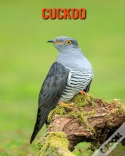 Capa do artigo Cuckoo