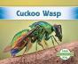 Cuckoo Wasp - Preview