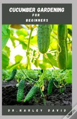Capa do artigo Cucumber Gardening For Beginners